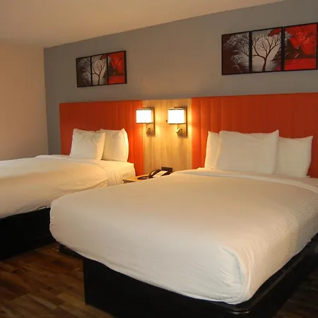 Vacation Lodge-3